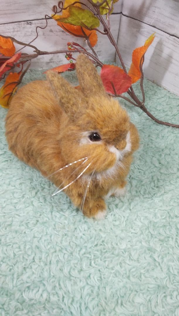 羊毛フェルト うさぎ ネザーランドドワーフ ハンドメイド Smile