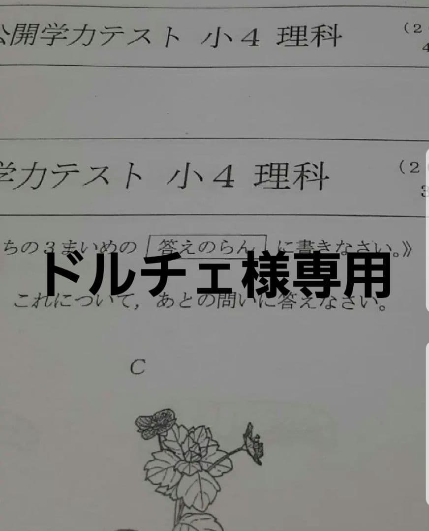 ドルチェ