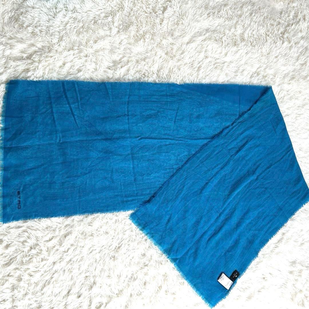 【美品】現行タグ エトロ 大判 ストール ウール＆シルク混 ペイズリー柄　近年