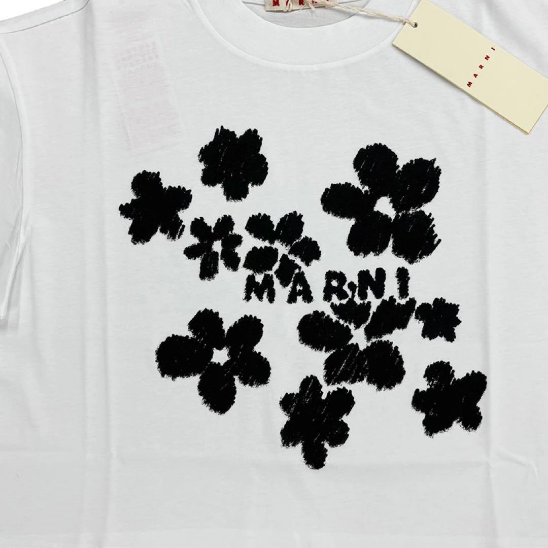 MARNI 25SS フラワープリントtシャツ 38
