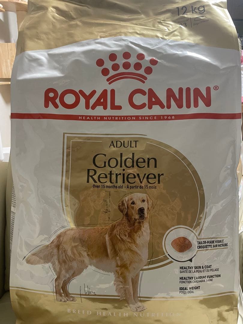  CANIN アダルトゴールデンレトリーバー