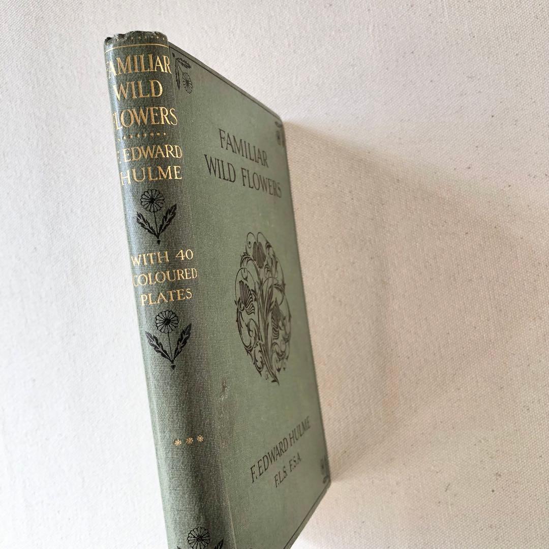1910年 イギリスの希少な植物図鑑 FWF3 アンティーク