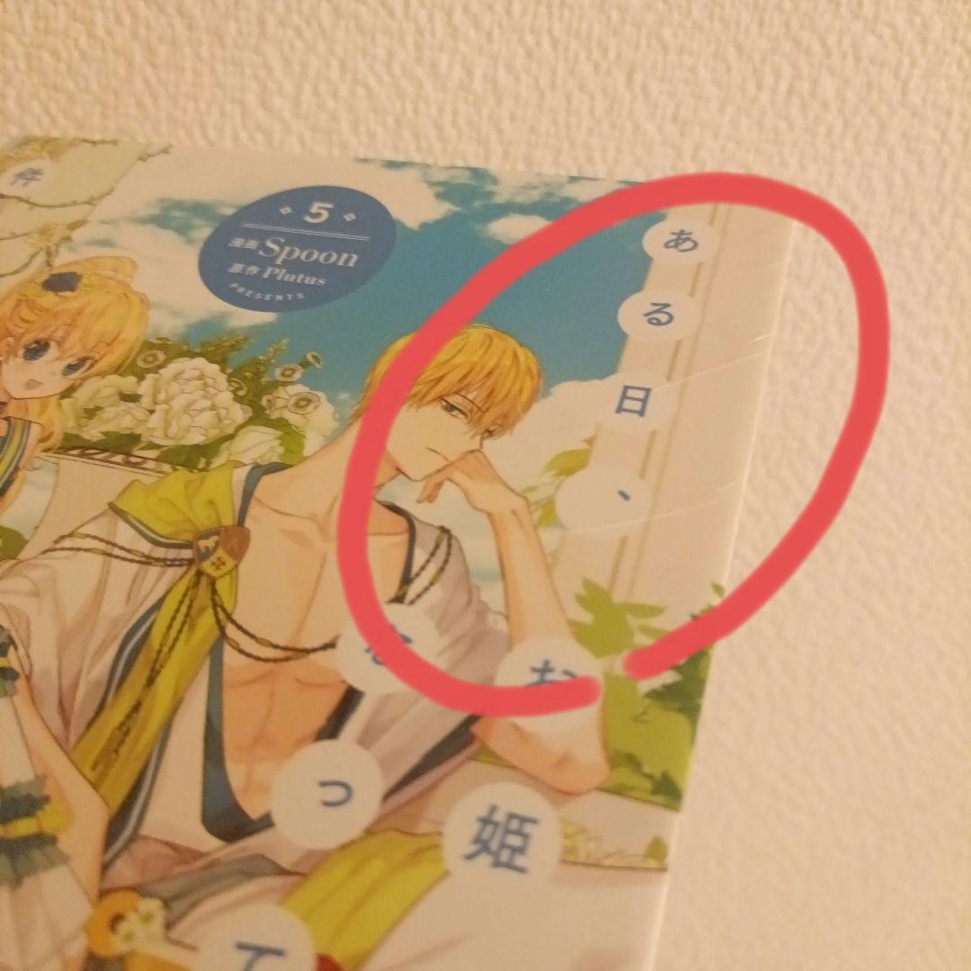 ある日、お姫様になってしまった件について 1-10全巻 Spoon