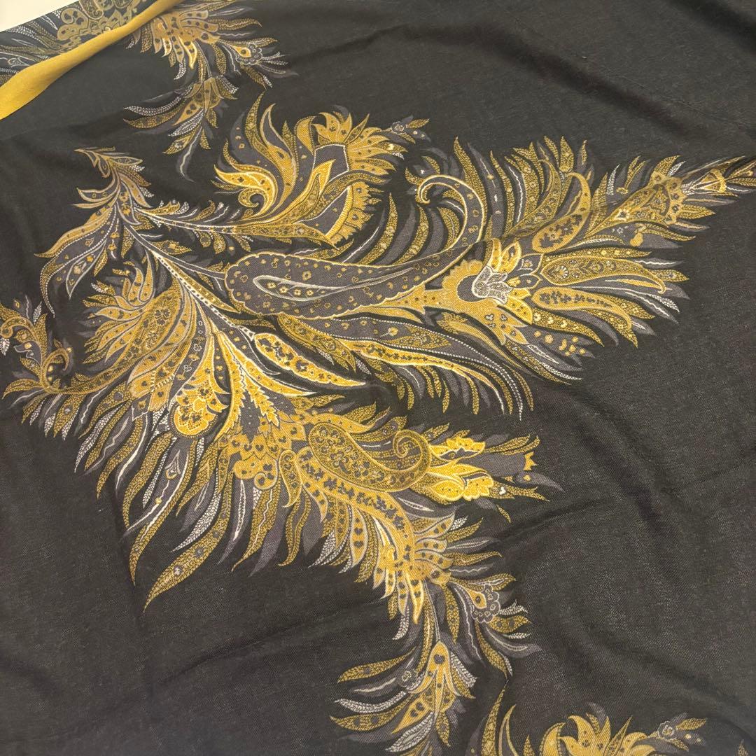 ETRO エトロ ペイズリー カシミヤ100% ストール ショール