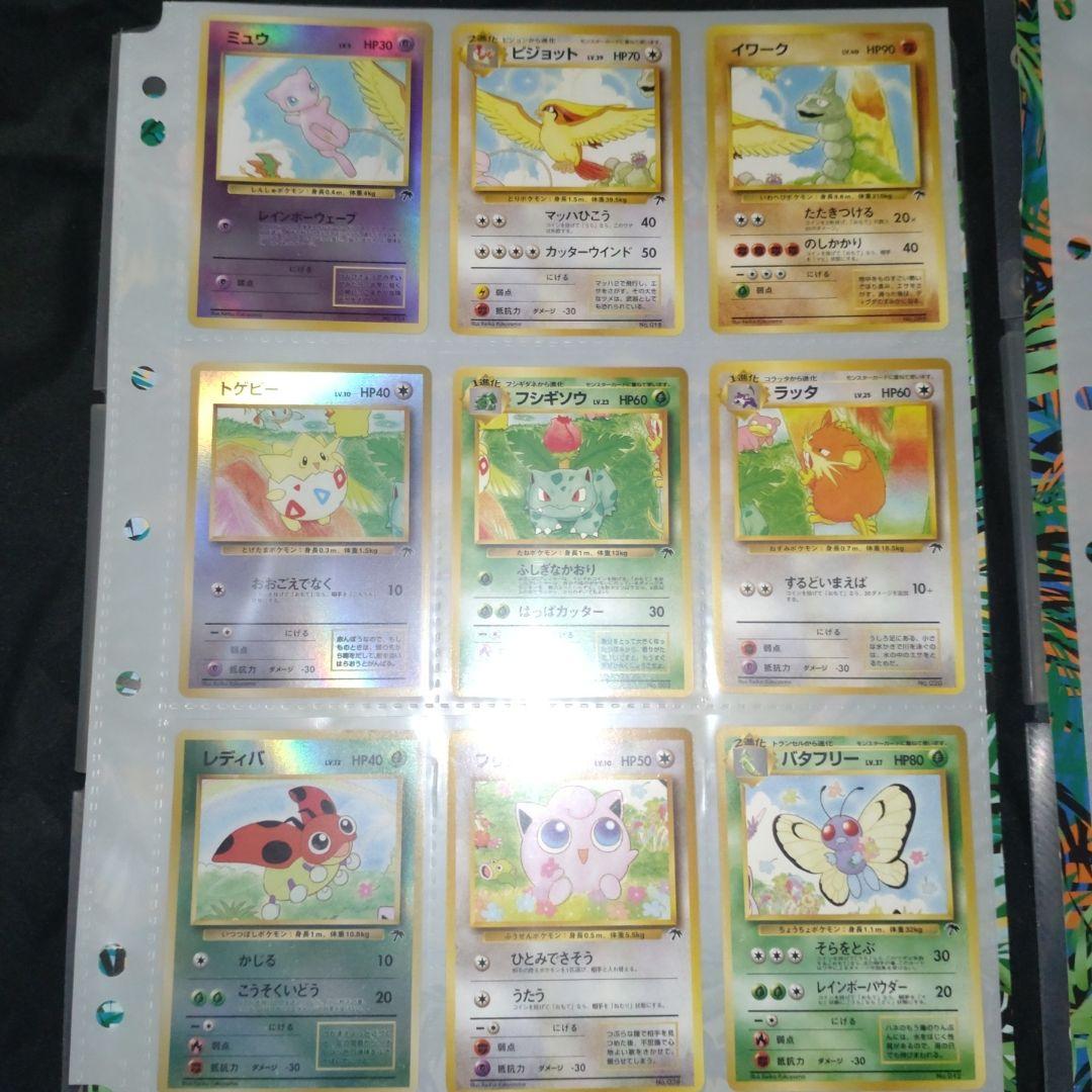 ポケモンカード トロピカルアイランド レインボーアイランド　バインダー2冊　貴重