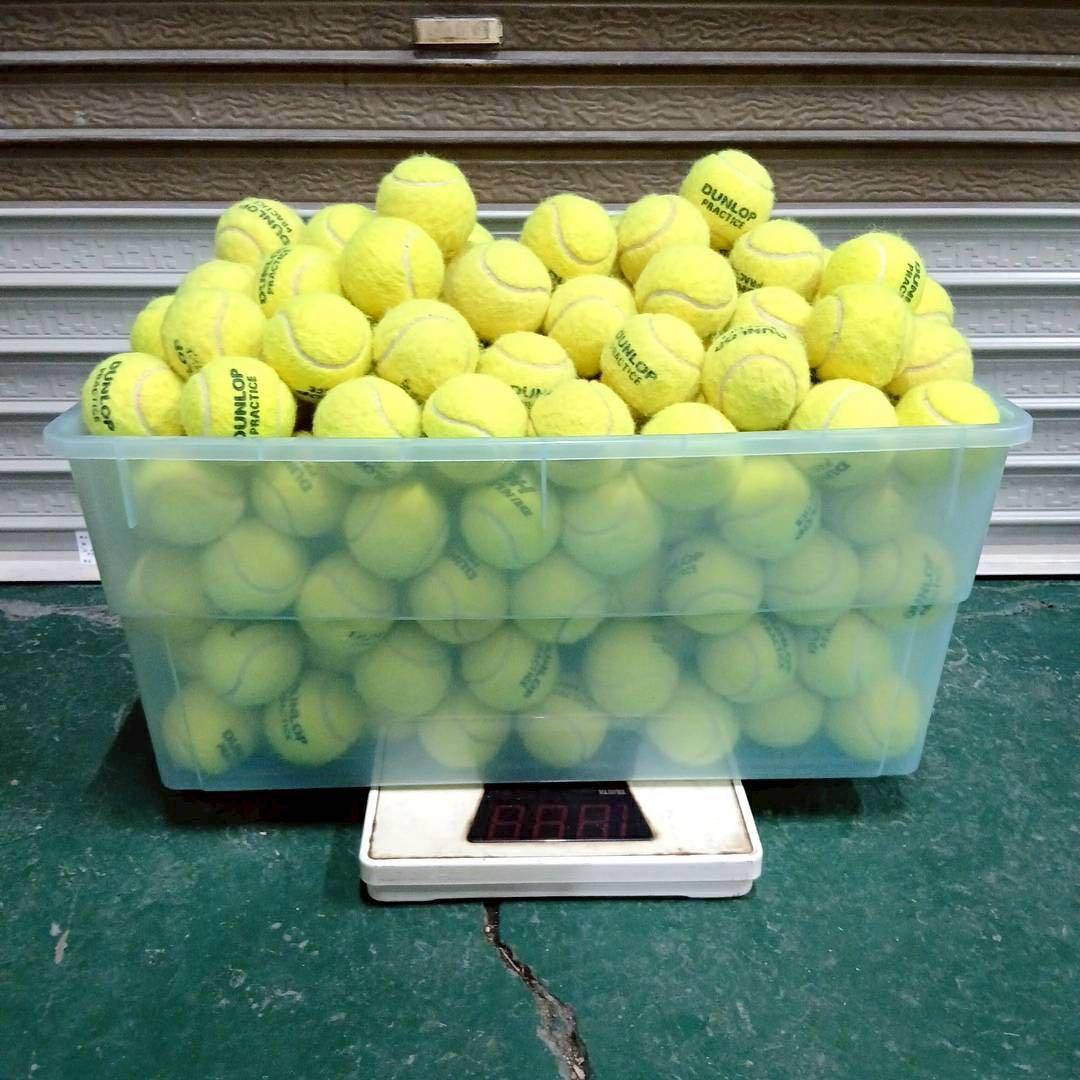 ⑫約256球➕①228球ダンロップ PRACTICE 中古硬式テニスボール