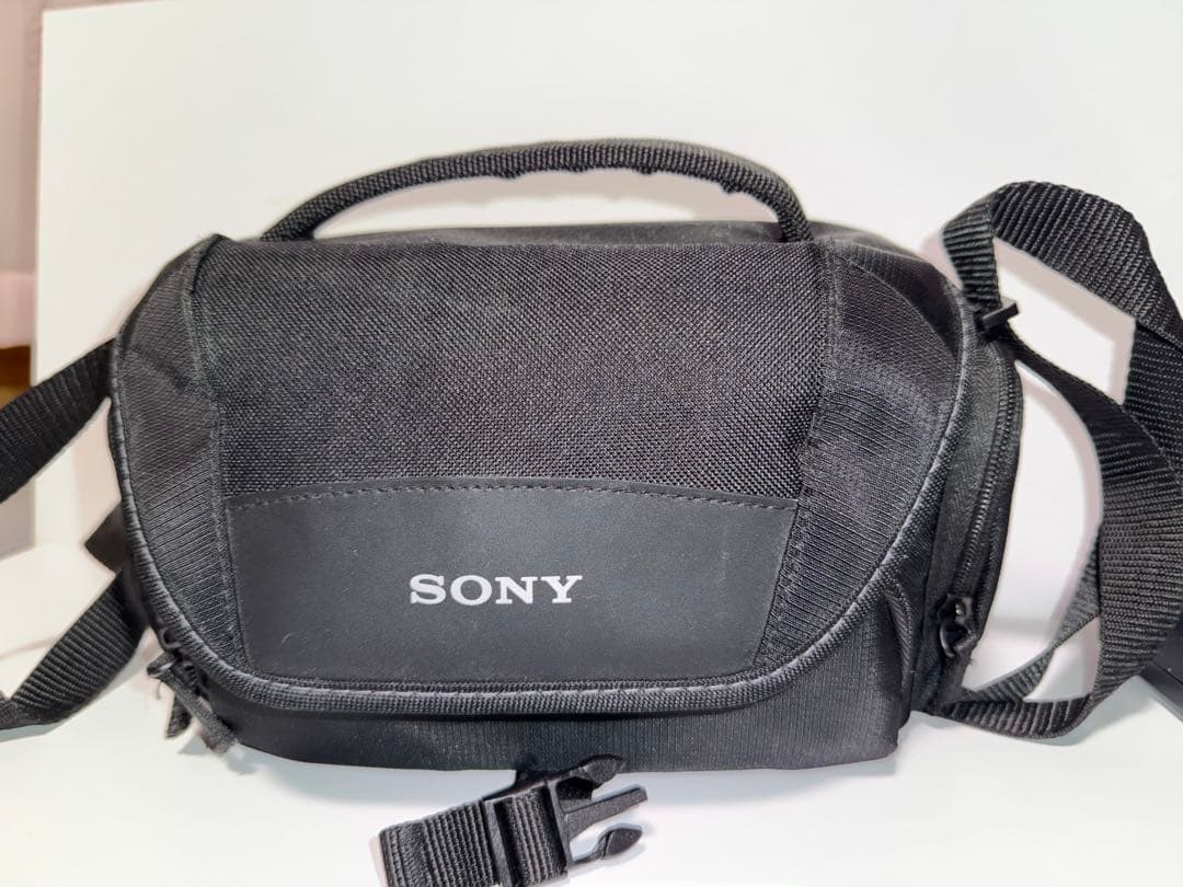 T*e様 SONY 4K ビデオカメラ FDR-AX45 動作品