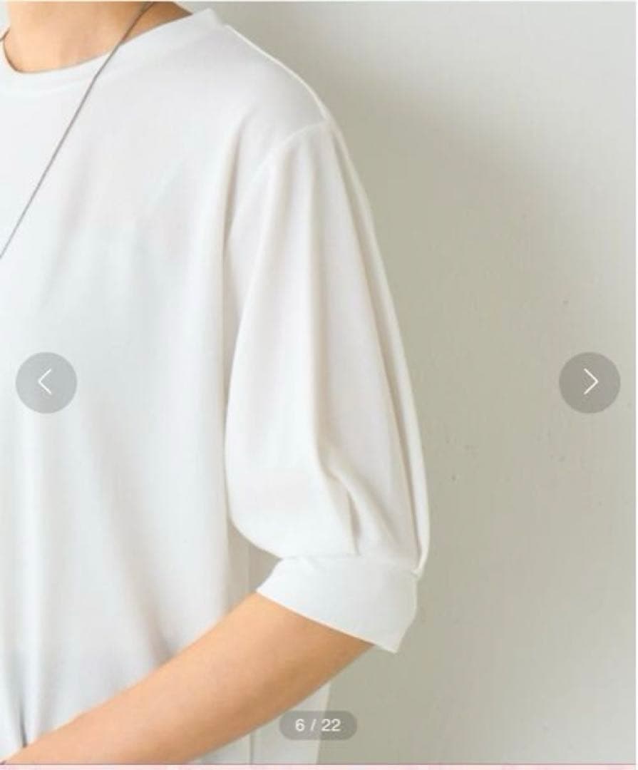 BEARDSLEY 半袖Tブラウス ホワイト