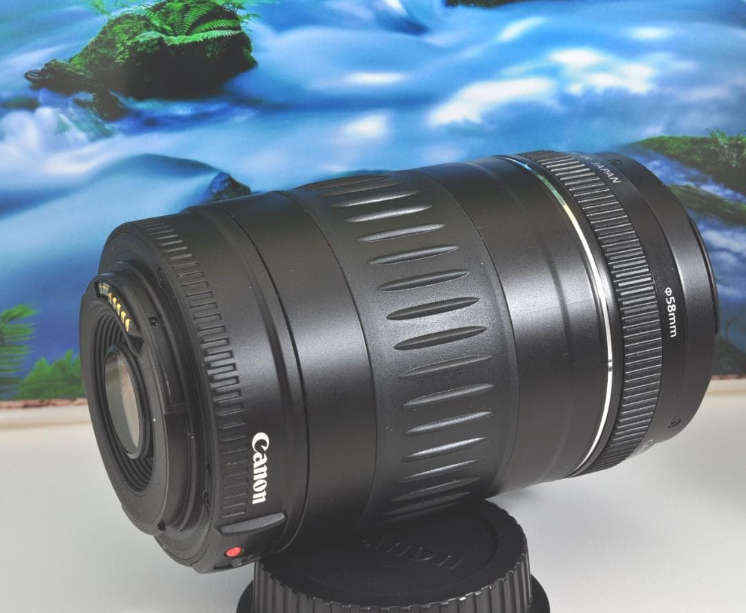 キャノン Canon EF90-300mm F4.5-5.6 USM 望遠レンズ