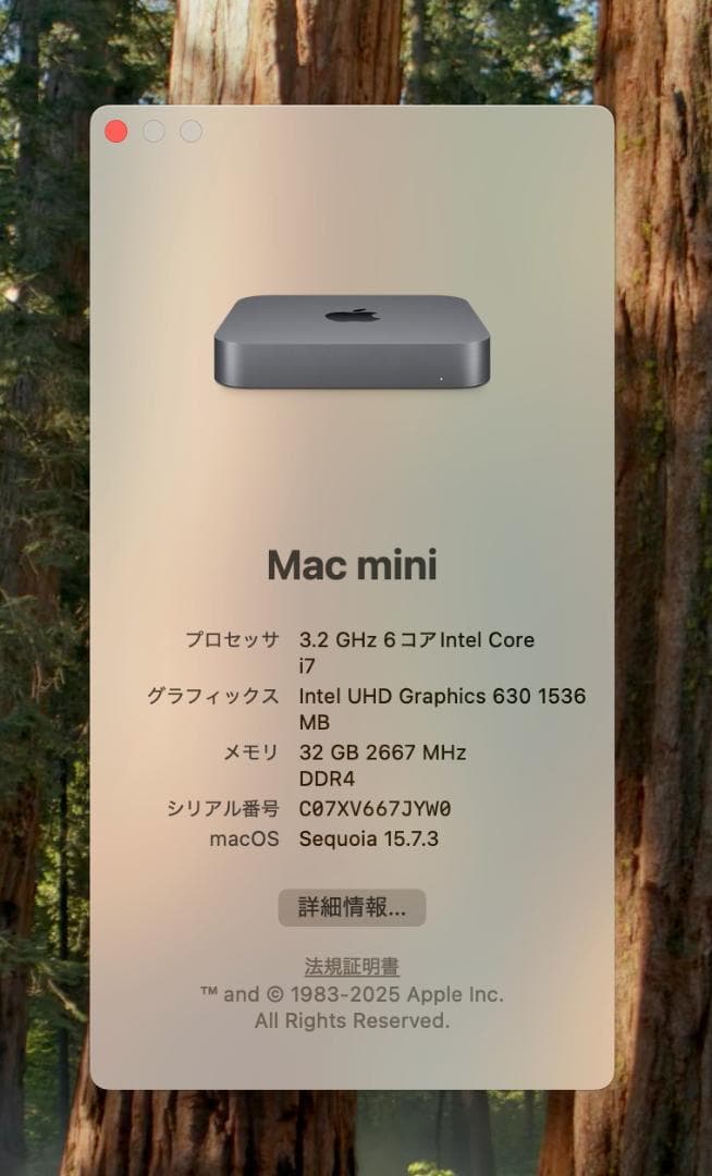 Mac mini 2018 Core i7 32GB 512GB 周辺機器付
