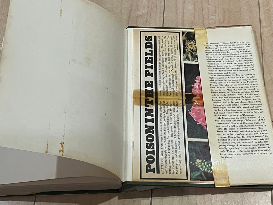 イギリスの古い植物図鑑　1960年代