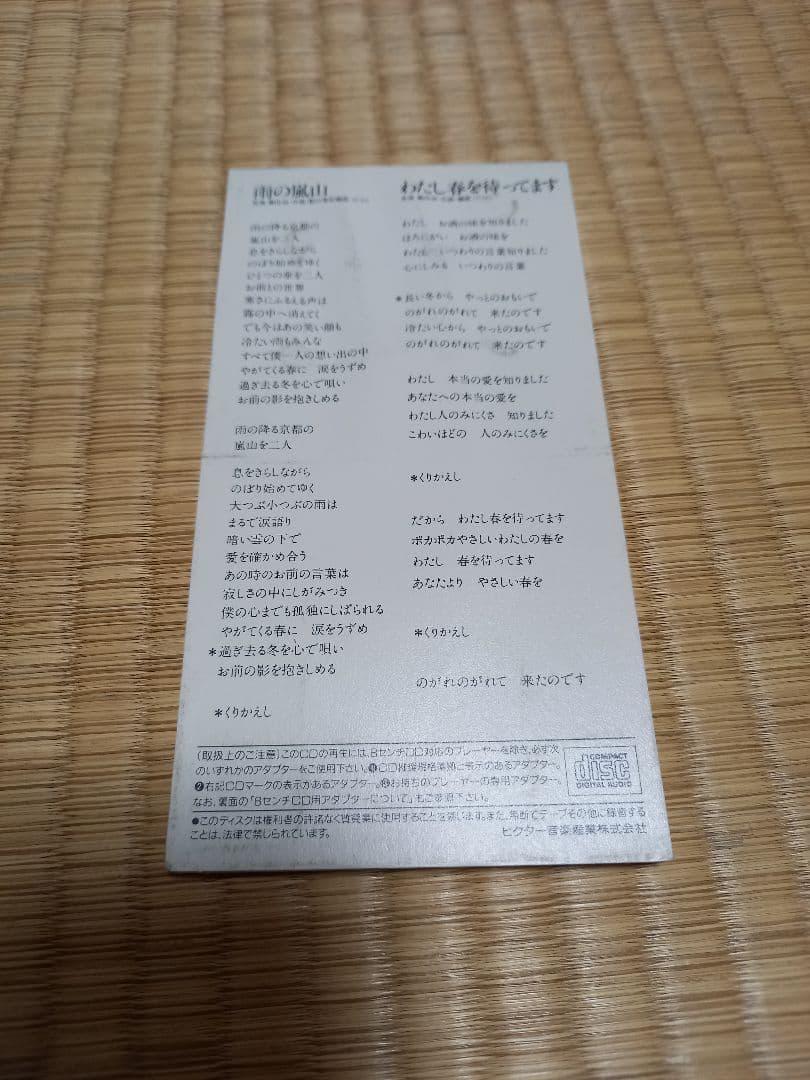 雨の嵐山　長渕剛