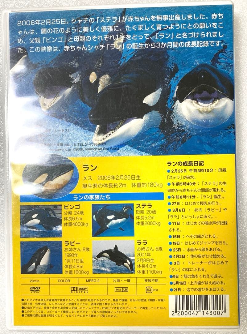 鴨川シーワールド　DVD シャチが生まれた　赤ちゃんシャチ「ラン」の成長記録