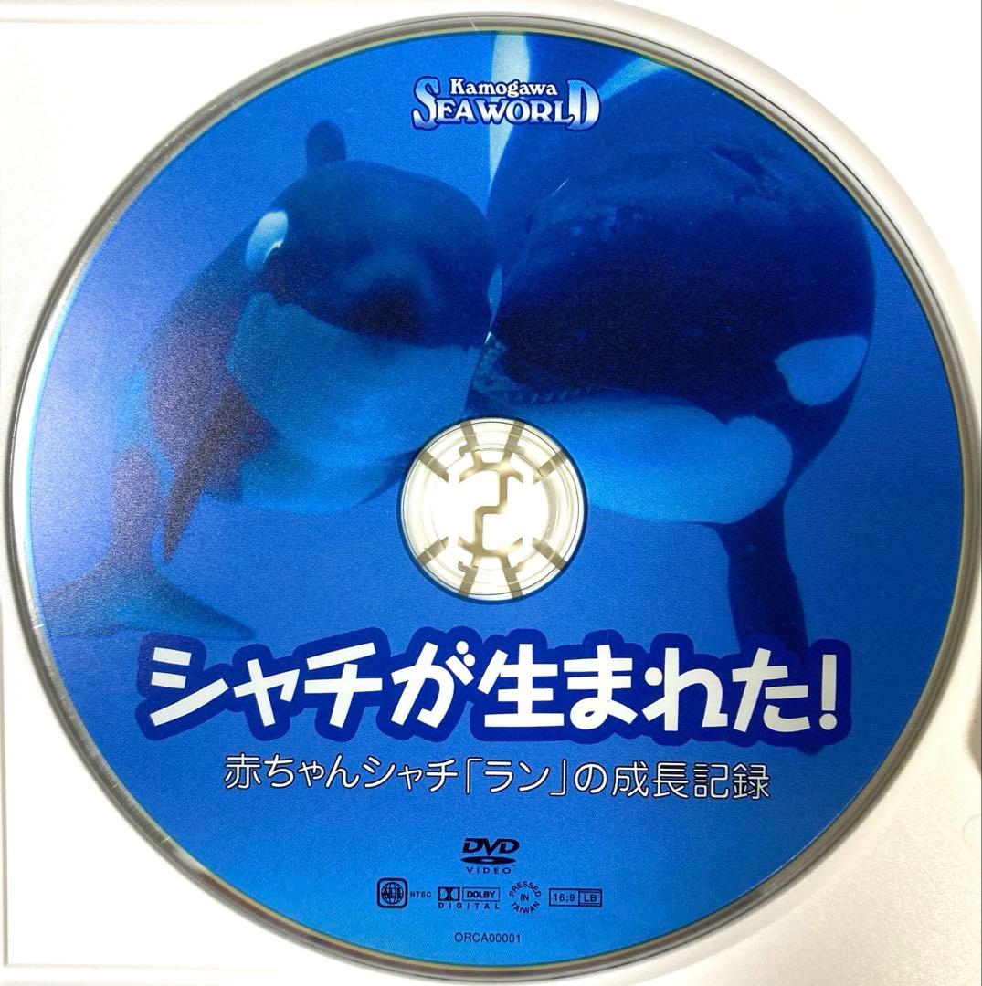 鴨川シーワールド　DVD シャチが生まれた　赤ちゃんシャチ「ラン」の成長記録