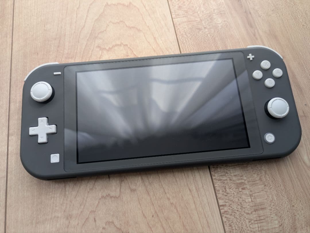 Nintendo Switch Lite 本体 充電器 ケース付き グレー