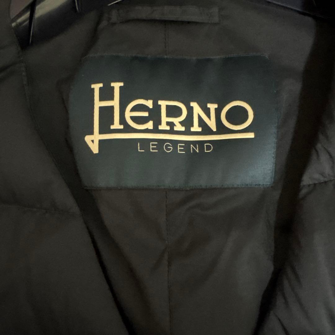 最安値‼️ ヘルノ Herno ダウンベスト サイズ46 メンズ