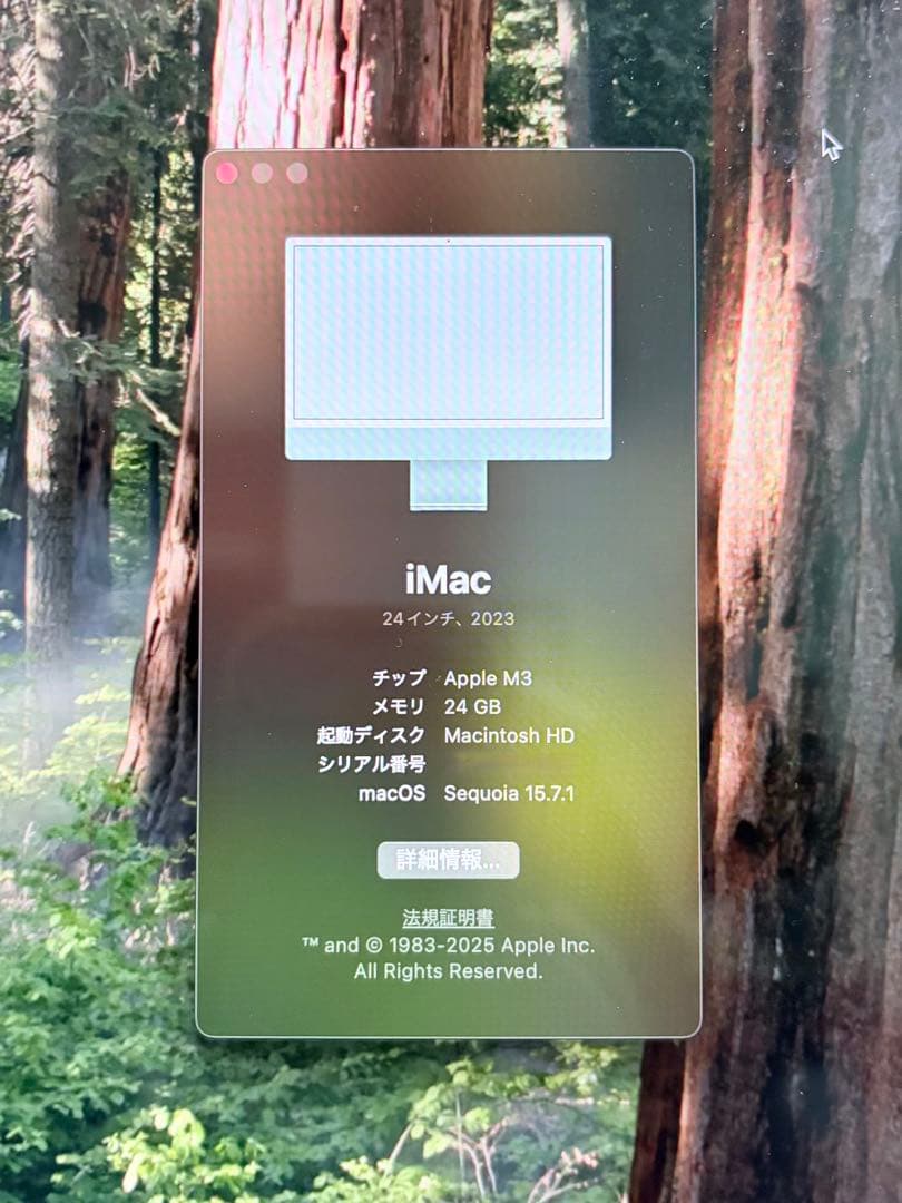 iMac M3 24インチ SSD:1TB メモリ:24GB