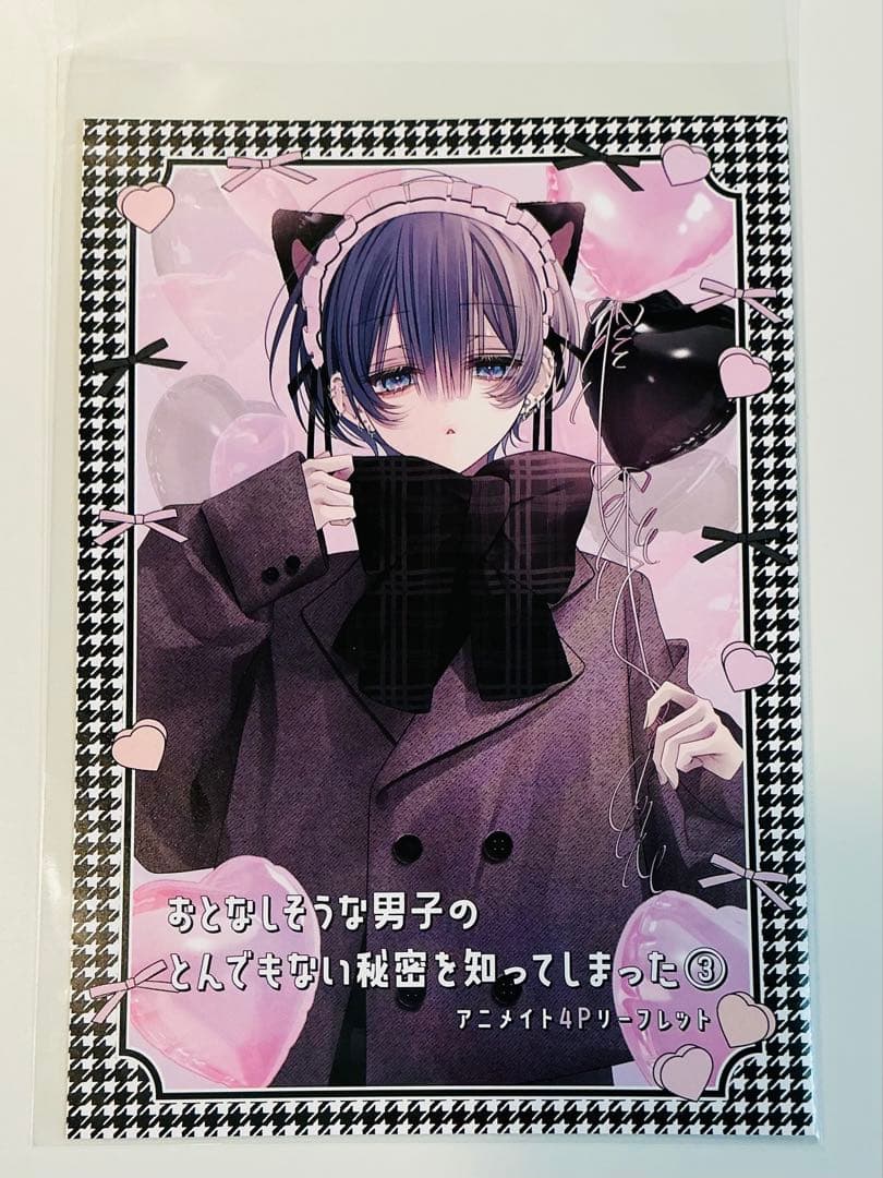 おとなしそうな男子のとんでもない秘密を知ってしまった 3巻 特典4種