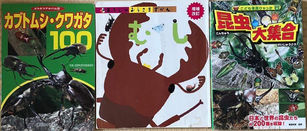 【1万7千円相当】虫好き小学生向け 15冊セット 昆虫 本 図鑑