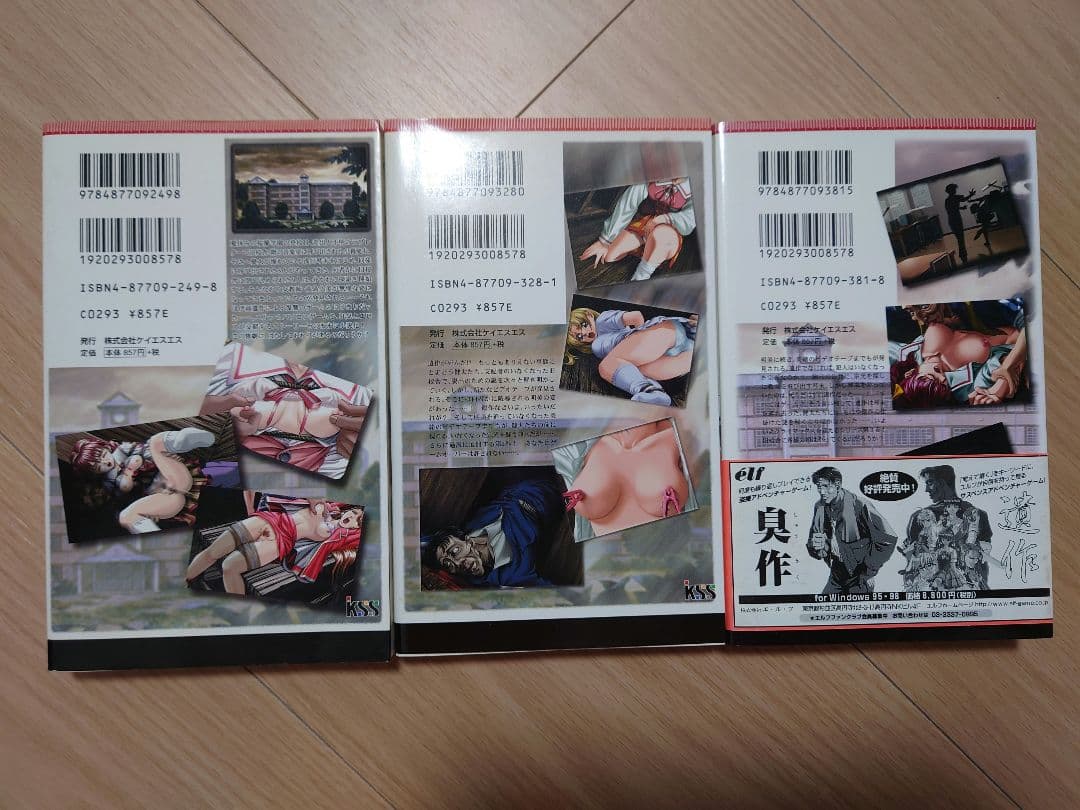 【まとめ売りのみ】遺作 全3巻 ケイエスエスノベルズ