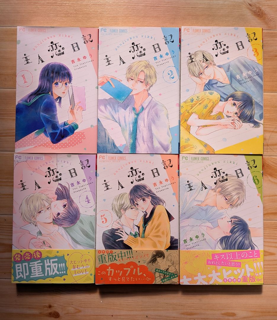 ☆本日限定価格☆主人恋日記　全巻セット