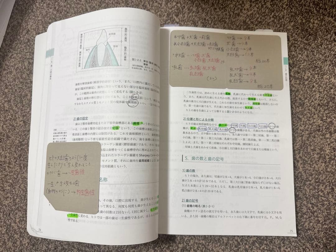 歯科衛生士 学生 教科書 2024