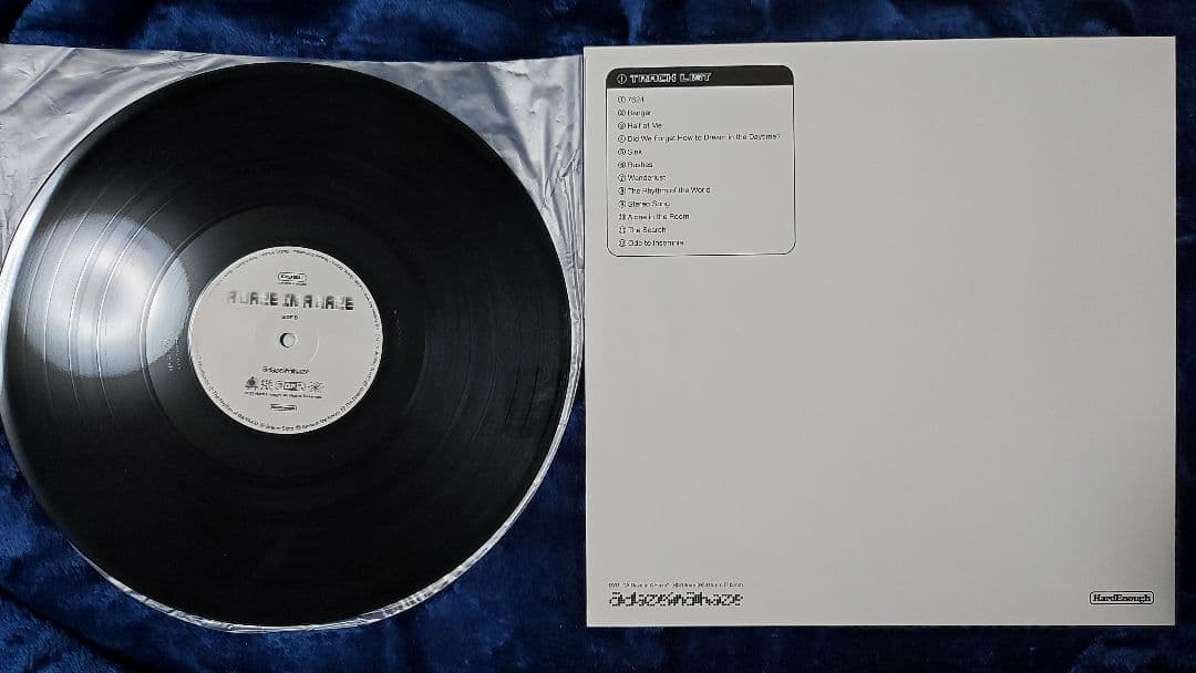 DYGL レコード　アナログ　2枚セット