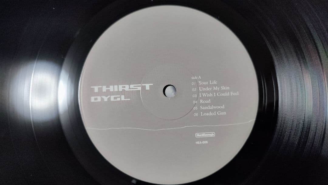 DYGL レコード　アナログ　2枚セット