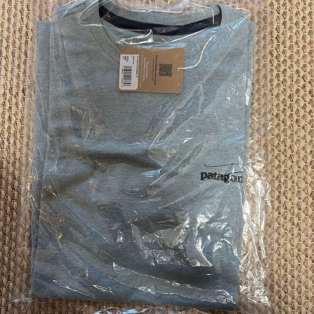 patagonia パタゴニア キャスティングロゴレスポンシビリTee TMBL