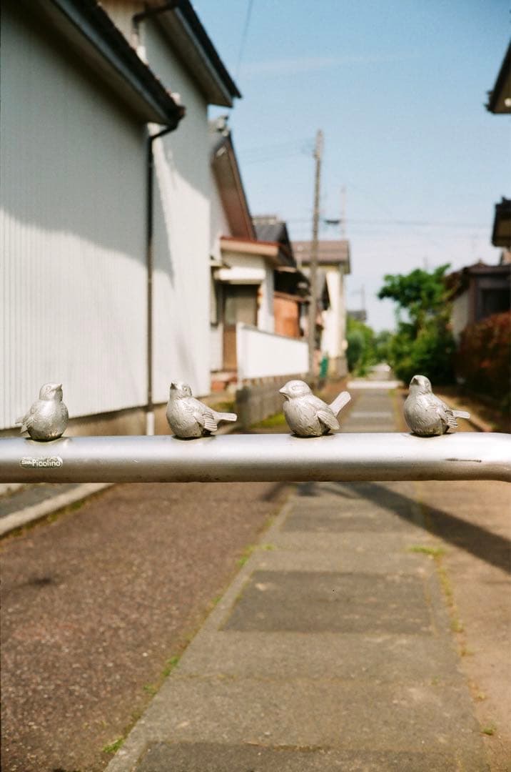 YASHICA ELECTRO 35 G 実写作例あり