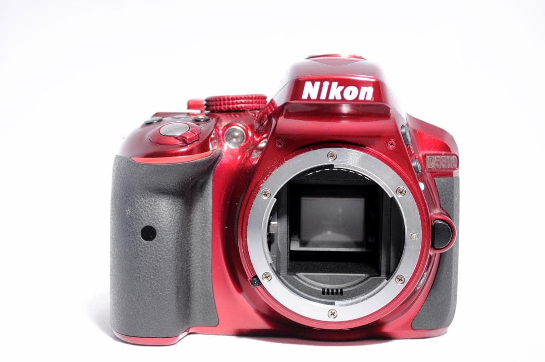 Nikon D5300✨ショット数少 一眼レフカメラ Wi-Fi ダブルレンズ
