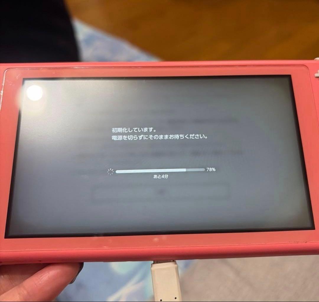Nintendo Switch Lite 本体　ピンク ケース　充電器付き