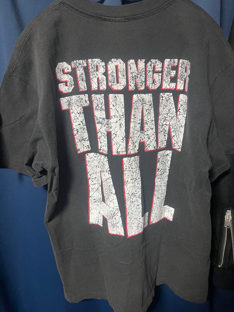PANTERA tシャツ Lサイズ