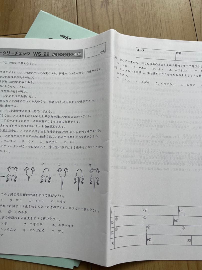 SAPIX 6年理科WS01〜36 知識の20/50題、知識の総、コア確認テスト