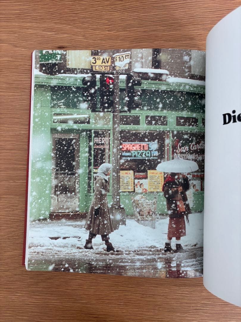ソールライター / Saul Leiter Retrospective 写真集