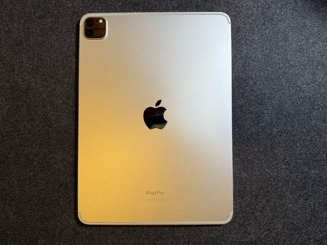 iPad Pro第4世代256 + Apple Pencil