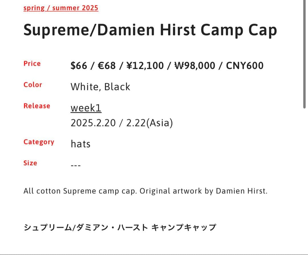 帽子 Supreme Damien Hirst camp cap