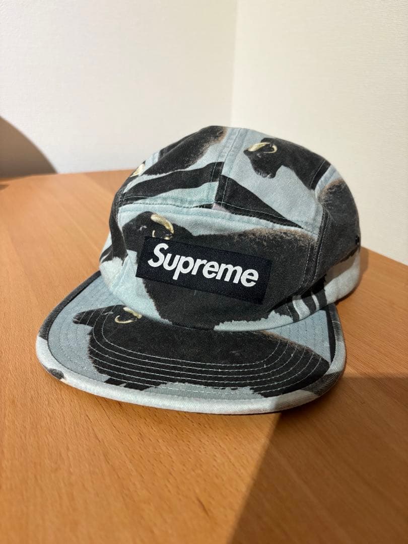 帽子 Supreme Damien Hirst camp cap