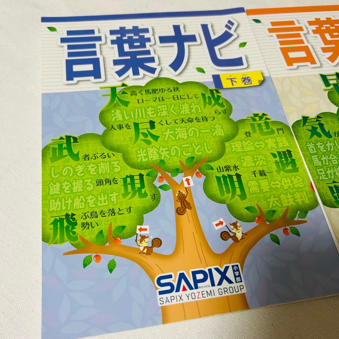 19-20あ　SAPIX 美品　サピックス　言葉ナビ　上巻　下巻　重要教材