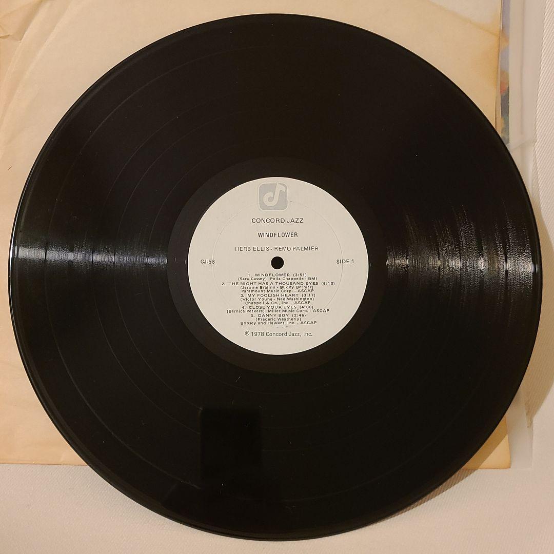【USオリ】Windflower Herb Ellis Remo Palmier