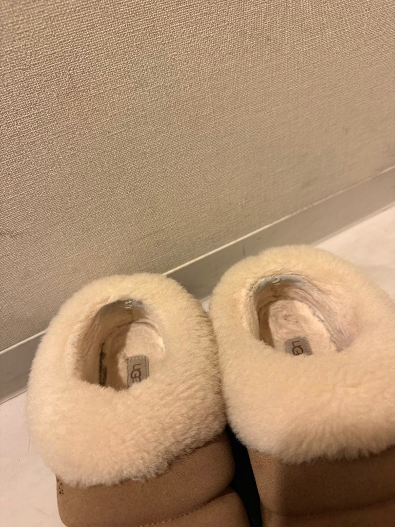 UGG タズリータ ブーツ