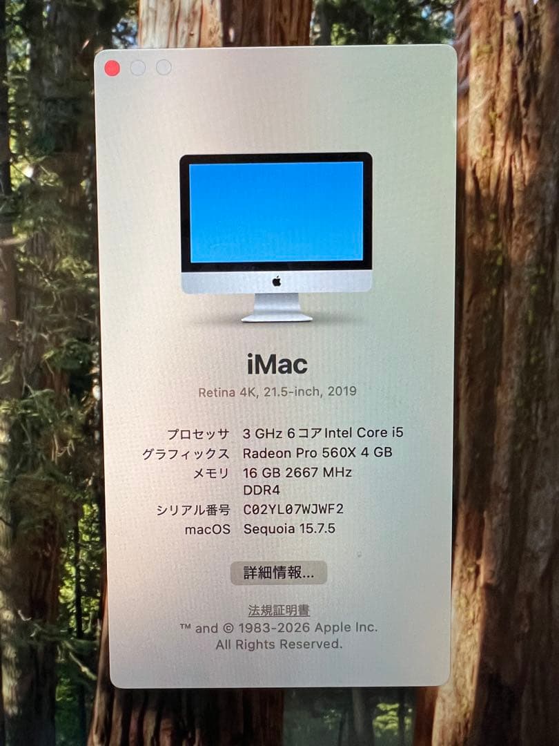 iMac Retina 4K 21.5インチ 2019 メモリ16GB 動作品