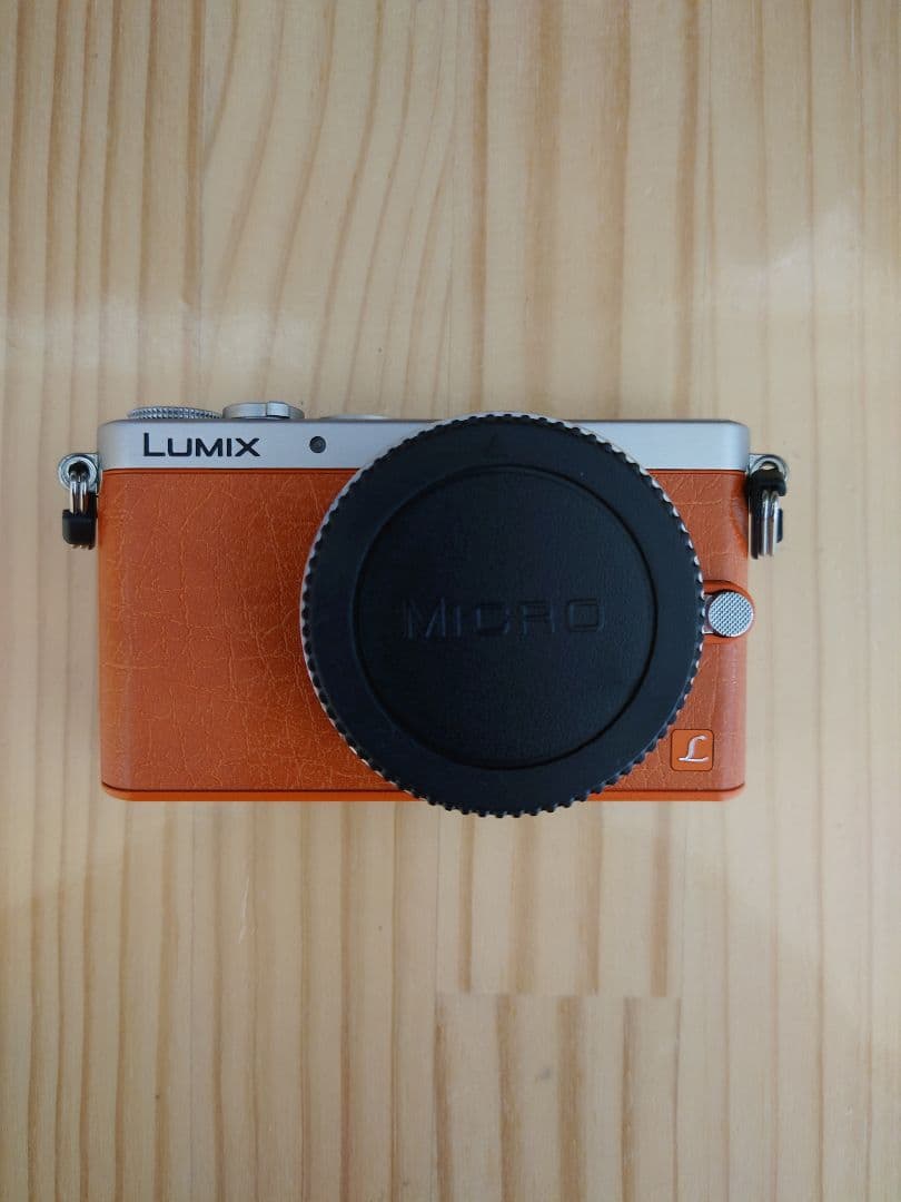 美品 Panasonic パナソニック LUMIX ルミックス DMC-GM1