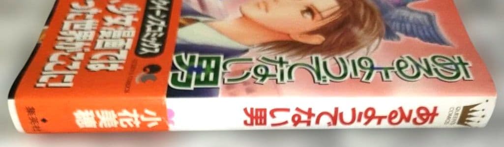 漫画　あるようでない　男　used in Japan