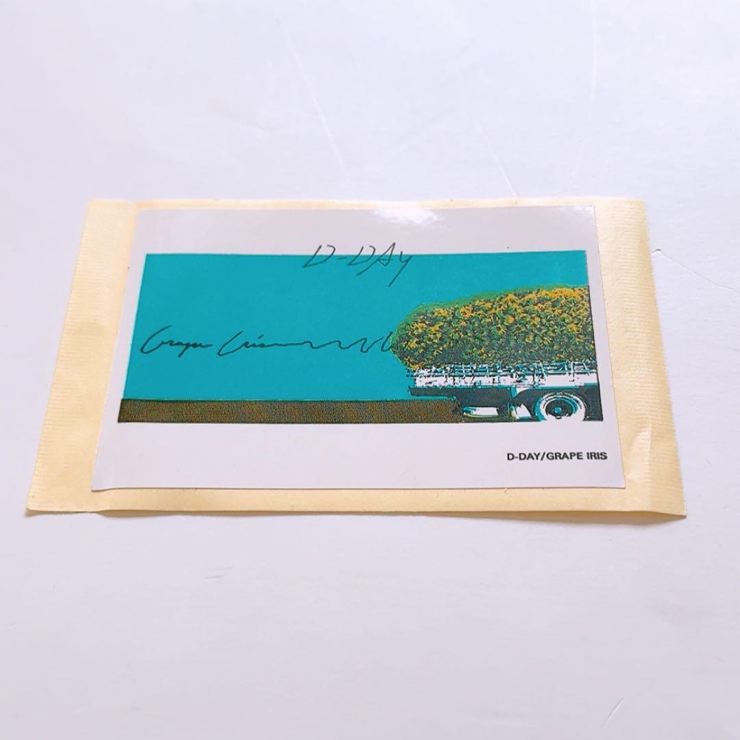 【極美品】D-DAY／GRAPE IRIS　LPレコード　ピクチャーディスク