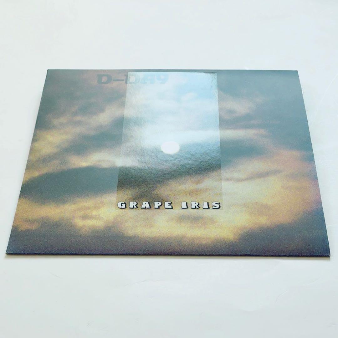 【極美品】D-DAY／GRAPE IRIS　LPレコード　ピクチャーディスク