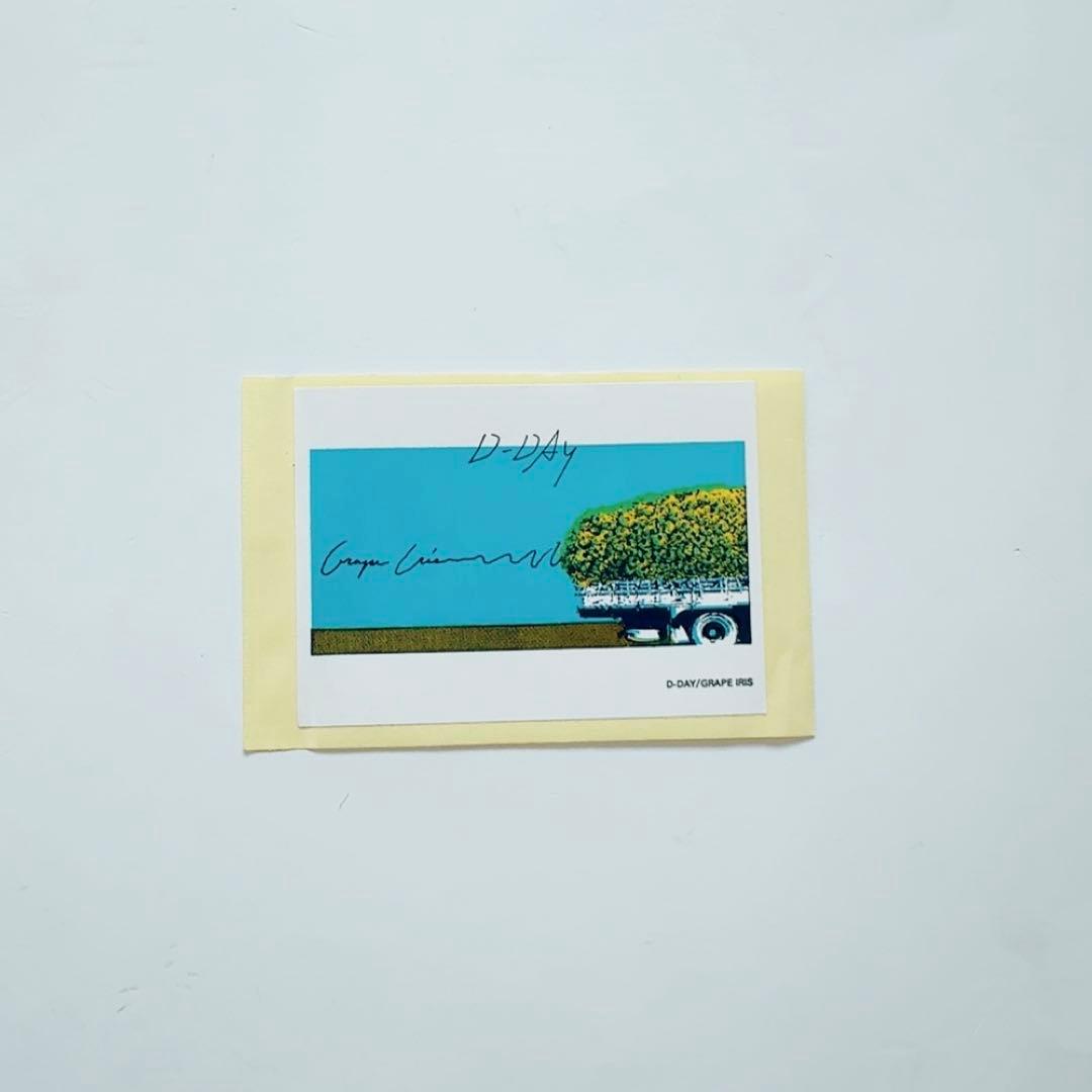 【極美品】D-DAY／GRAPE IRIS　LPレコード　ピクチャーディスク
