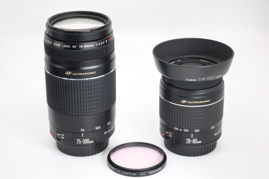 美品ですが少し訳あり 【Canon EOS 6D ダブルレンズセット】 安心保証