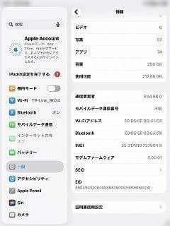 iPad mini第5世代シルバー256GB　セルラーモデル（楽天モバイルOK）
