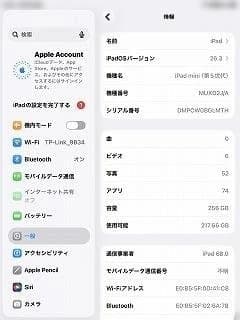 iPad mini第5世代シルバー256GB　セルラーモデル（楽天モバイルOK）